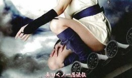 真田女忍法传在线观看,揭秘忍者世界中的传奇女性